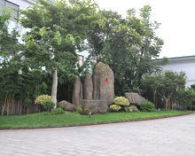 工厂绿化-八达橡塑
